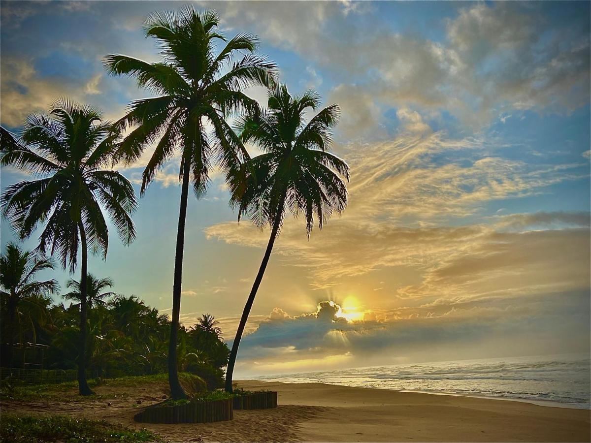 Bahia Surf Camp Hotel Abrantes Exterior foto