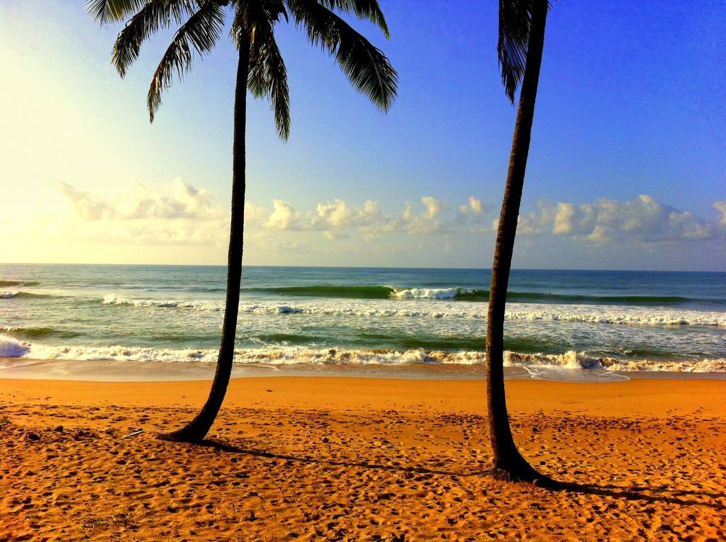 Bahia Surf Camp Hotel Abrantes Exterior foto