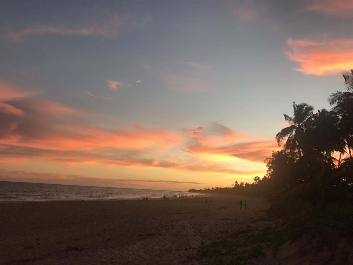Bahia Surf Camp Hotel Abrantes Exterior foto